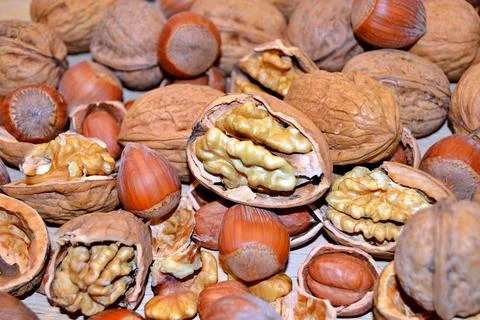 Walnuts and hazelnuts Stock Photos