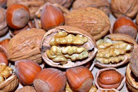 Walnuts and hazelnuts Stock Photos