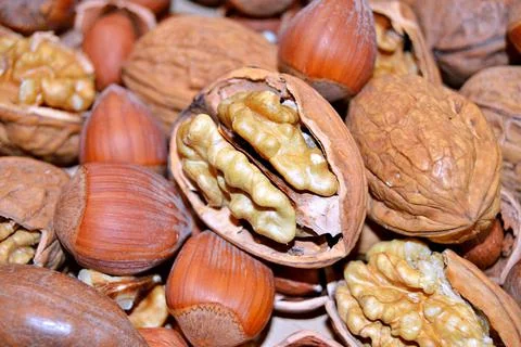 Walnuts and hazelnuts Stock Photos