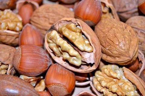 Walnuts and hazelnuts Stock Photos