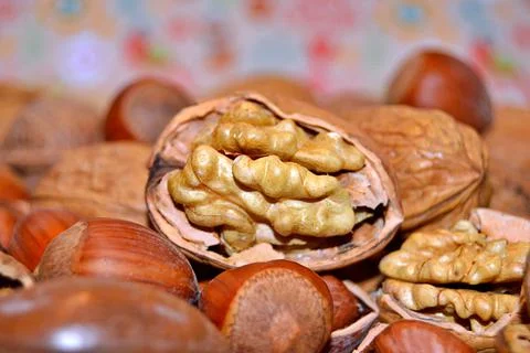 Walnuts and hazelnuts Stock Photos
