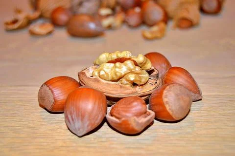 Walnuts and hazelnuts Stock Photos