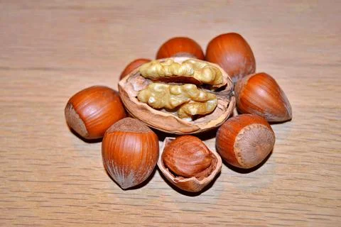 Walnuts and hazelnuts Stock Photos