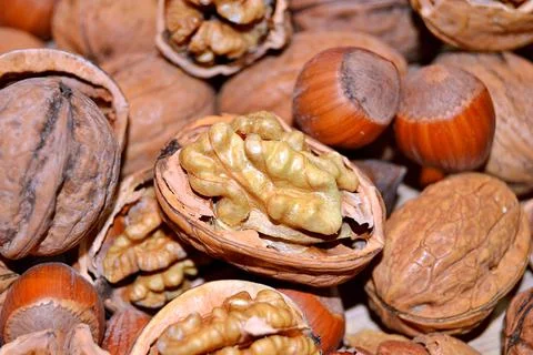 Walnuts and hazelnuts Stock Photos