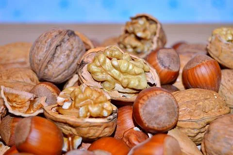 Walnuts and hazelnuts Stock Photos