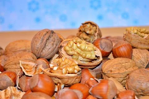 Walnuts and hazelnuts Stock Photos