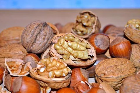 Walnuts and hazelnuts Stock Photos