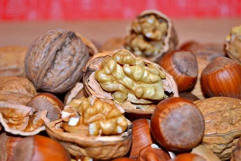 Walnuts and hazelnuts Stock Photos