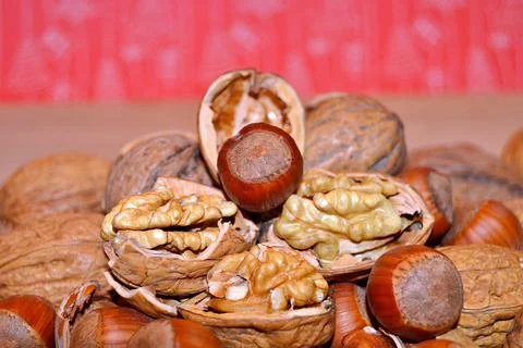 Walnuts and hazelnuts Stock Photos