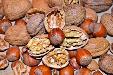 Walnuts and hazelnuts Stock Photos