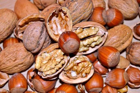 Walnuts and hazelnuts Stock Photos