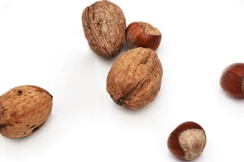 Walnuts and hazelnuts Stock Photos