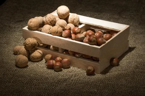 Walnuts and hazelnuts on table on burlap cloth Stock Photos