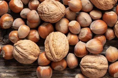 Walnuts and hazelnuts on a table Stock Photos