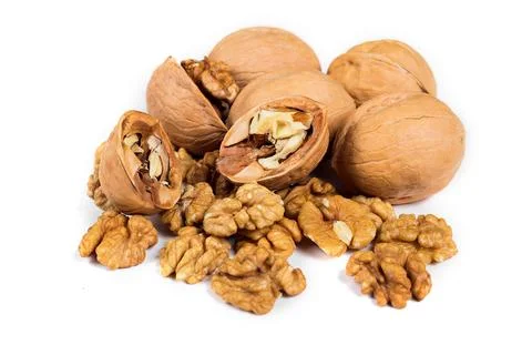 Walnuts and kernels isolated on white background Stock Photos