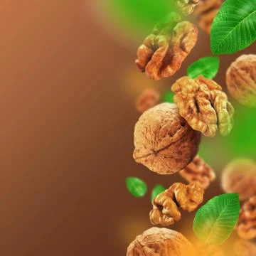 Walnuts and leaves falling from the air Stock Photos