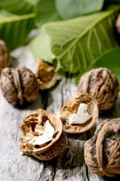 Walnuts and leaves Stock Photos