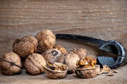 Walnuts and a nutcracker Stock Photos