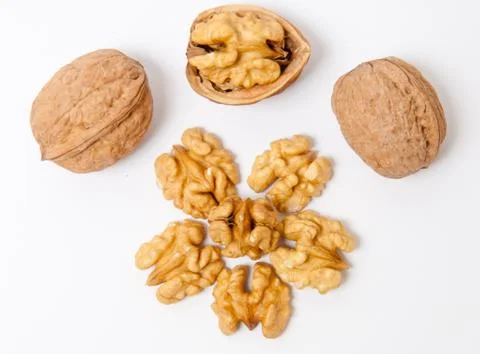 Walnuts and walnut kernels on white background Stock Photos
