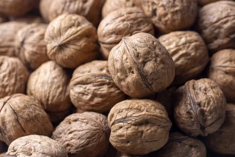 Walnuts with and without shells (filling the picture). Background of fresh wa Stock Photos