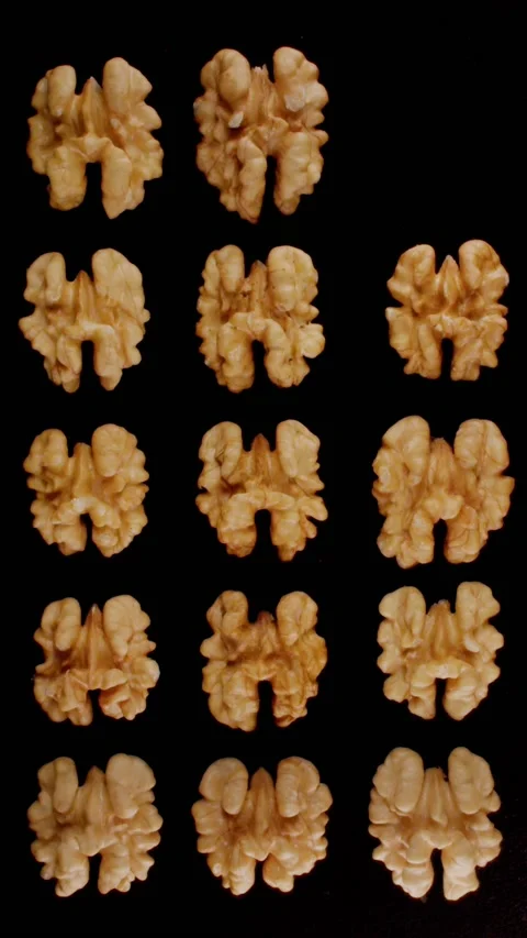 Walnuts are laid out side by side on a black background, fly up 動画素材 237705388
