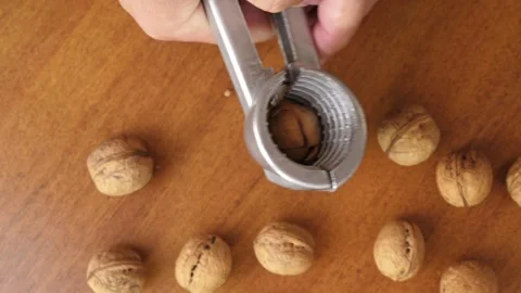 Walnuts are split with a nutcracker. Kitchen appliances for work in the kitchen. Video stock 245817693
