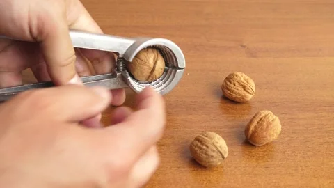 Walnuts are split with a nutcracker. Kitchen appliances for work in the kitchen. Stock Footage 246062474