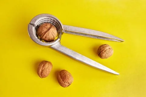 Walnuts are split with a nutcracker. Kitchen appliances for work in the kit.. Stock Photos