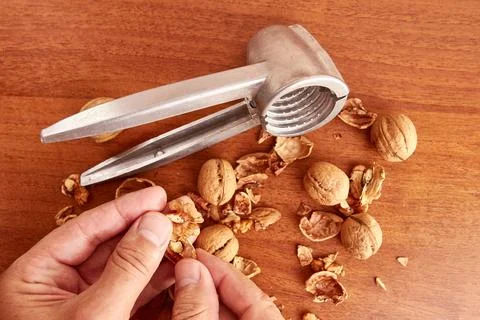 Walnuts are split with a nutcracker. Kitchen appliances for work in the kit.. Stock Photos