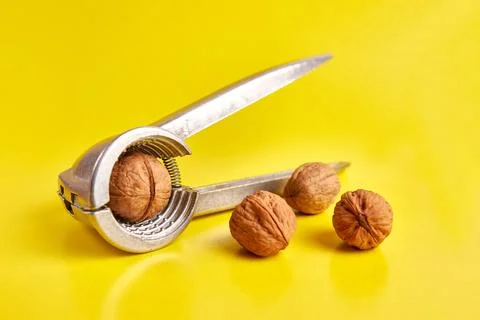 Walnuts are split with a nutcracker. Kitchen appliances for work in the kit.. Stockfoto's