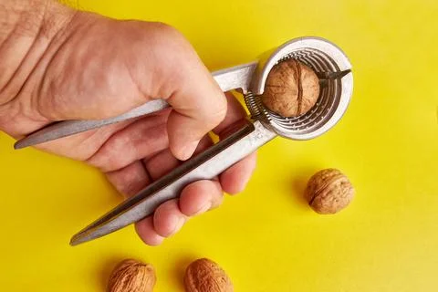 Walnuts are split with a nutcracker. Kitchen appliances for work in the kit.. Stock Photos