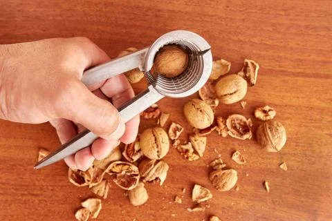 Walnuts are split with a nutcracker. Kitchen appliances for work in the kit.. Stockfoto's