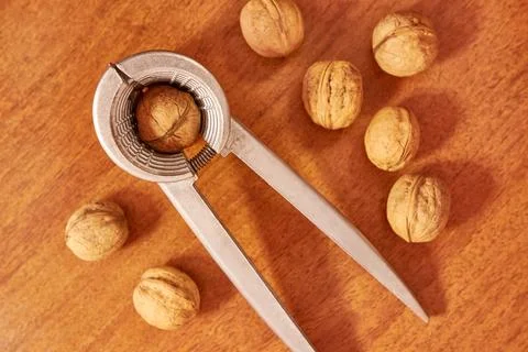 Walnuts are split with a nutcracker. Kitchen appliances for work in the kit.. Stock Photos