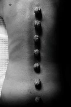 Walnuts on the back Stock Photos