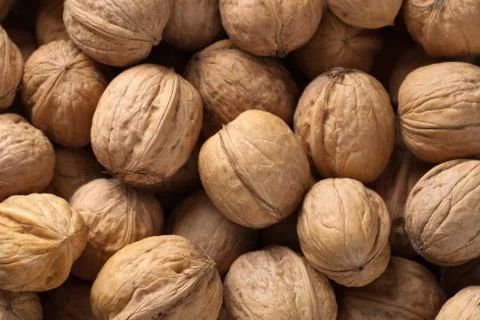 Walnuts background Stock Photos