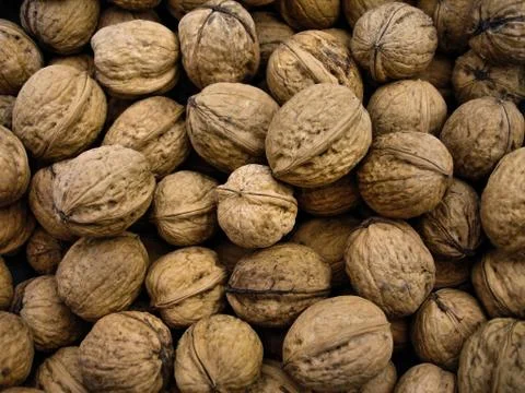 Walnuts background Stock Photos