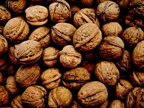 Walnuts background Stock Photos