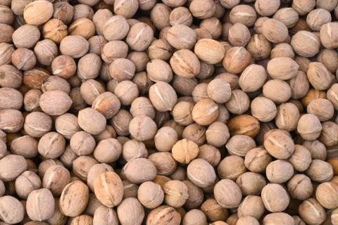 Walnuts background, texture of nuts. (Juglans regia) Stock Photos