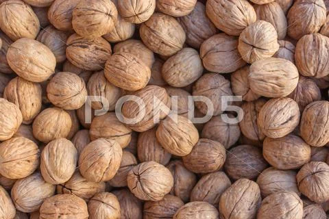 Walnuts. Background of walnuts Stock Photos