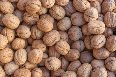 Walnuts. Background of walnuts Stock Photos