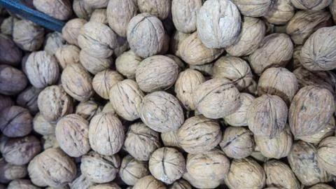 Walnuts background. Walnuts texture. Group walnuts background. Stock Photos