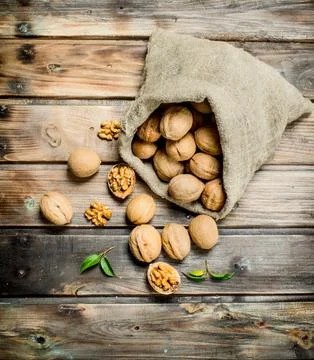 Walnuts in a bag . Stock Photos