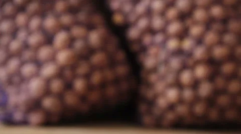 Walnuts in bags of netting Stock Footage 60563662