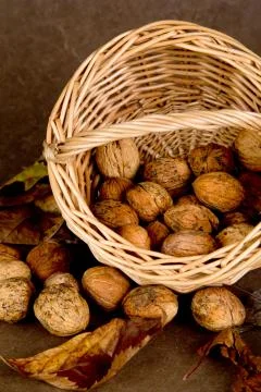 Walnuts basket - 01 Stock Photos