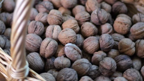 Walnuts in a basket Stock Footage 288748393
