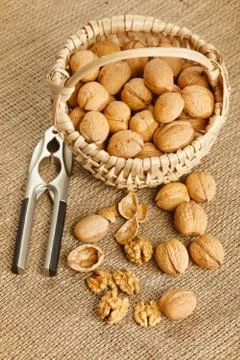 Walnuts in basket Stock Photos