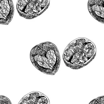 Walnuts black line scribbled isolated vector seamless pattern	 Stock Illustration