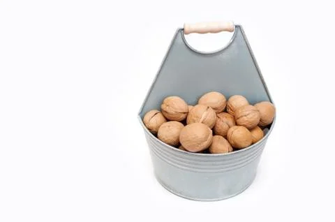 Walnuts in a bucket on a white background Stock Photos