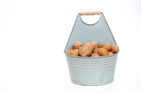Walnuts in a bucket on a white background Stock Photos