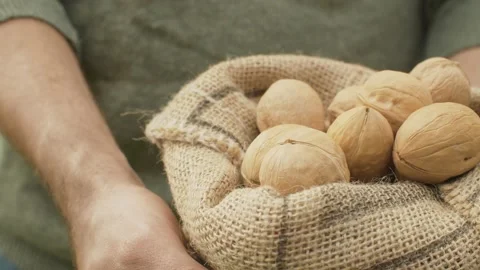 Walnuts in a burlap jute sack Stock Footage 137822790